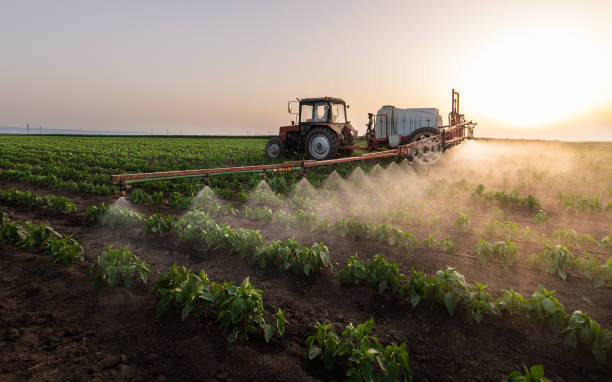 Best Pest Control Cost  in Grenada, MS