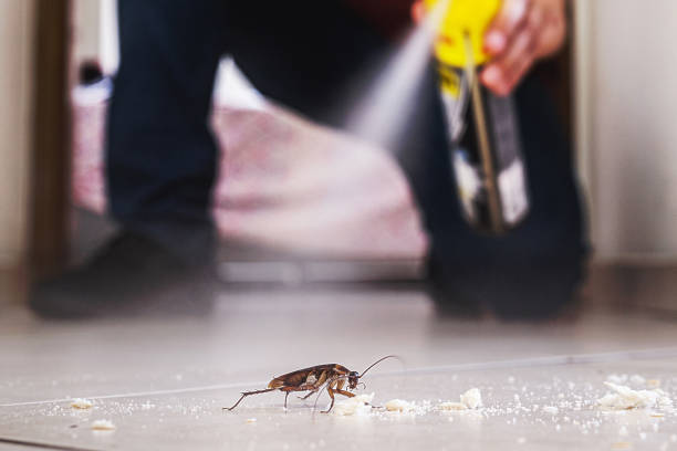 Best Pest Removal Services  in Grenada, MS
