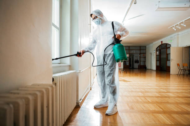 Best Local Pest Control Services  in Grenada, MS
