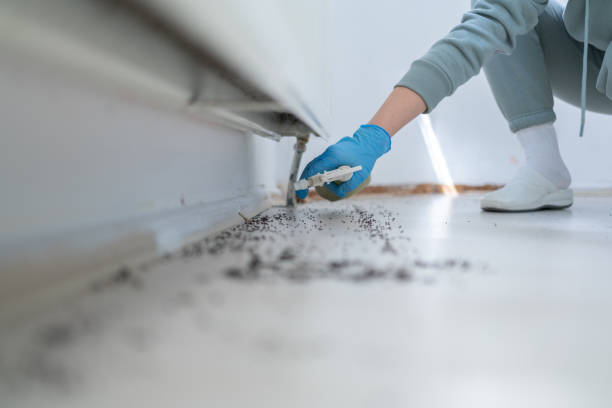 Best Wasp Removal Services  in Grenada, MS