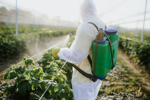 Best Pest Control Near Me  in Grenada, MS